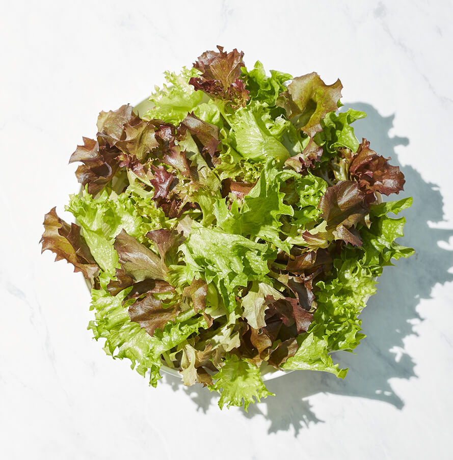 Crispy Green Leaf Lettuce (4.5 oz) - Image 3