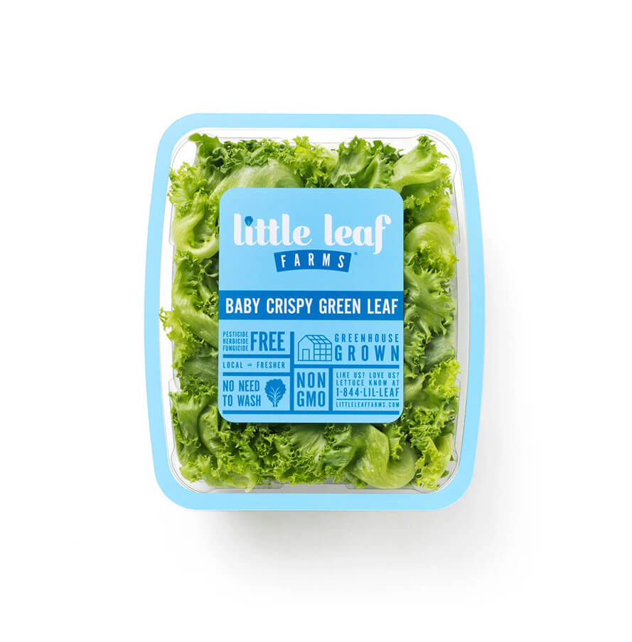 Crispy Green Leaf Lettuce (4.5 oz)